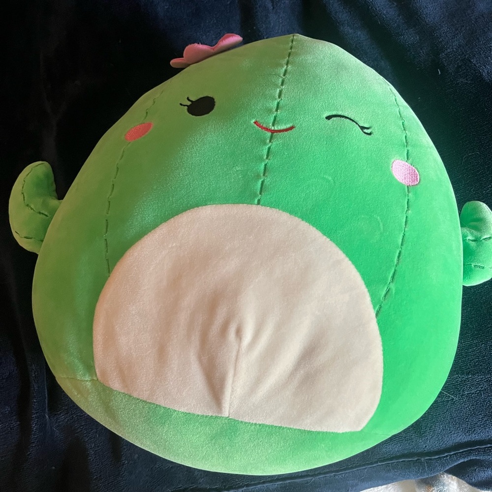 COPY - Cactus squishmallow